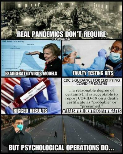 RealPandemics1