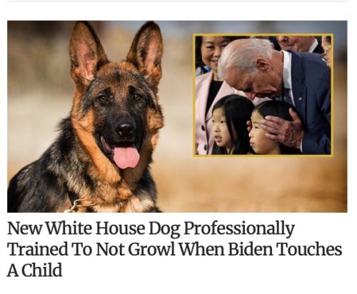 Babylon Bee stirs buzz