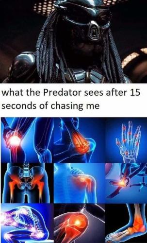 000predator