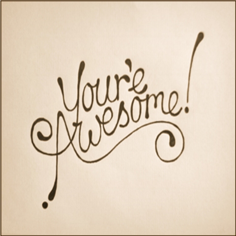 You're Awesome - Original