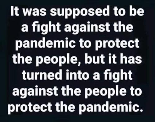 261784513_923728088535628_673749552290499711_n