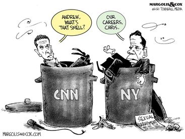 Cuomo bros