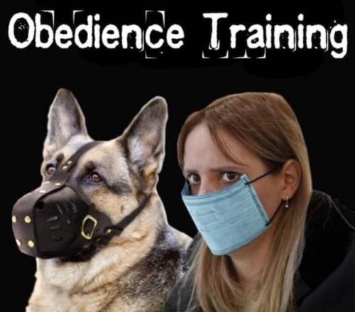 84b635cc-bf60-4dd1-afef-66be353e0250d