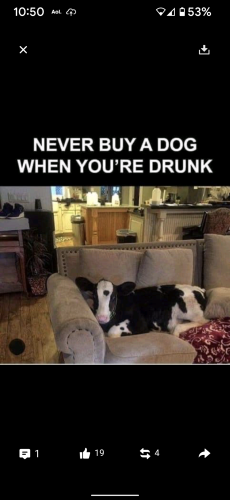 Screenshot_20211204-225011