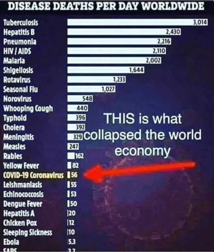 6kO3d6vC45b89Fm2xVMq_17_66ea3011bdae6d82fad57b48609b6eb9_image