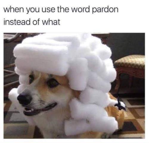 image_1640220850.646