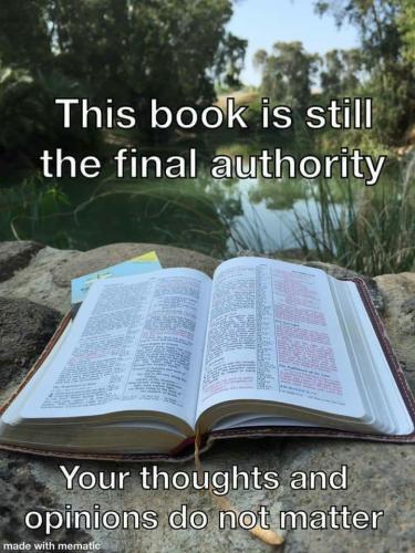 result_1605195616524