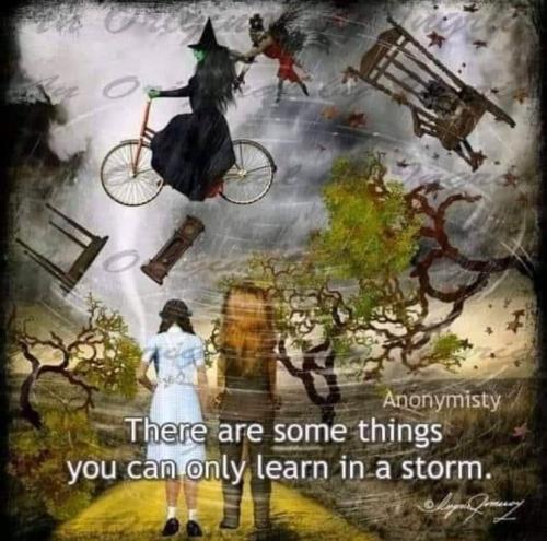 FB_IMG_1640382761038