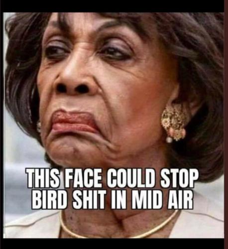 c57146dd77e63bd1d7e444290b912c9f_500x0