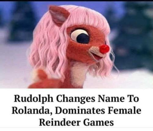 rudolph-red-nosed-changes-name-rolanda-dominates-female-reindeer-games