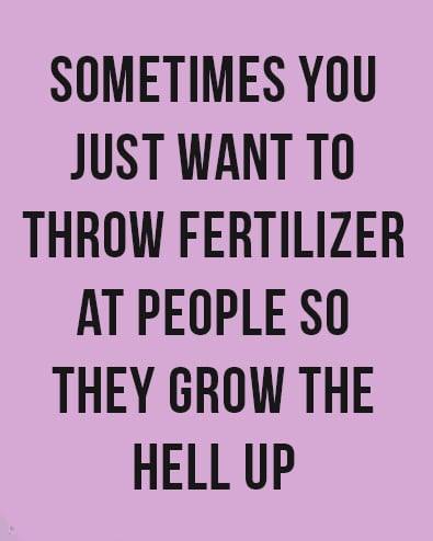 257406644_425577152269622_4374896105953294466_n