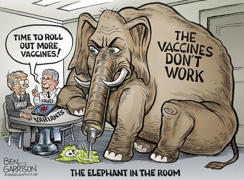 vaccine_elephant