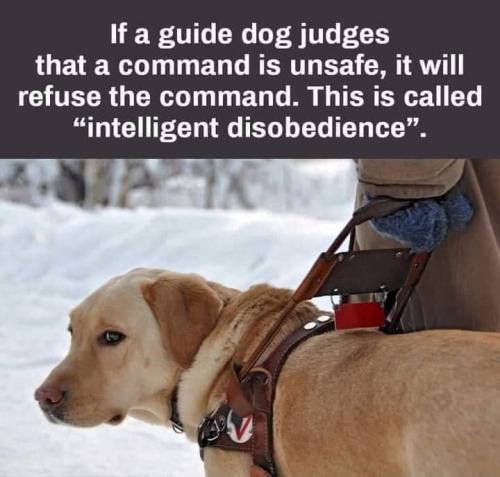 FB_IMG_1638488517829