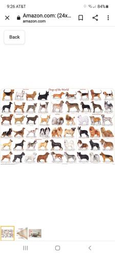 Screenshot_20211209-092649_Chrome