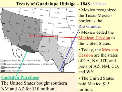 Illegals346