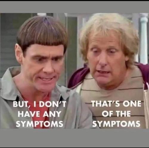 173117635_162240539114276_1837906627032595140_n