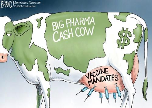 AF Branco Big Pharma Cow Getting Udder Your Skin Control