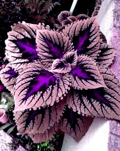 9F5A898F-2BA0-4009-9851-42B9ACF4BD18