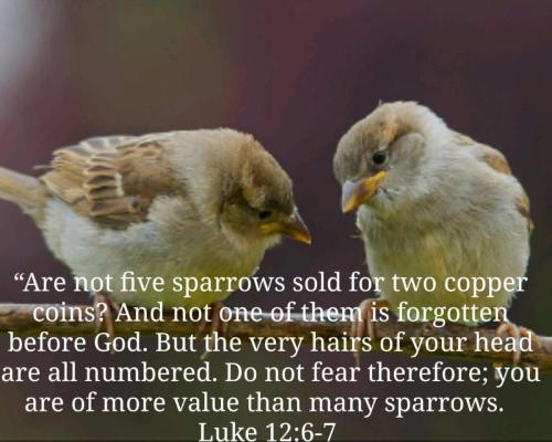 IMG_20211221_024455_637