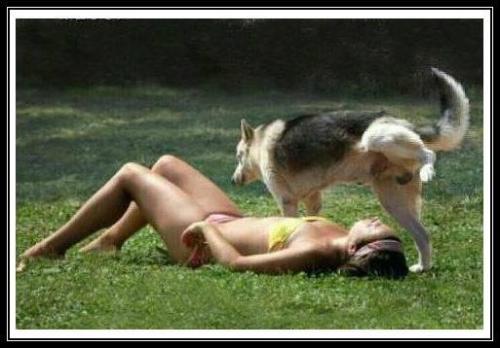 Bad Day