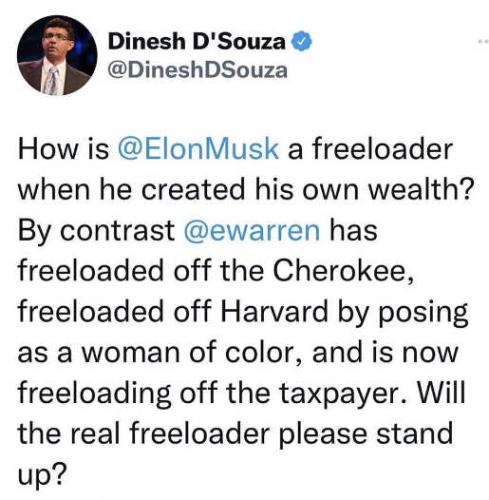 tweet-dsouza-elon-must-freeloader-created-own-wealth-warren-cherokee-harvard-taxpayer