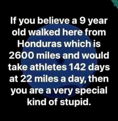 4b59374b3d31e158a57ffad079e1dd7d_500x0