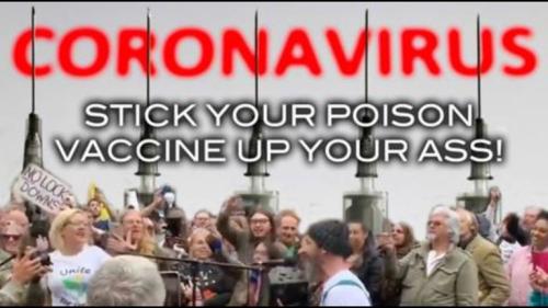 f6883114eae68f40aa45c7dcbf5d2de6_500x0