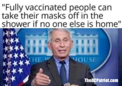 Capture+_2021-12-08-01-19-03(1)