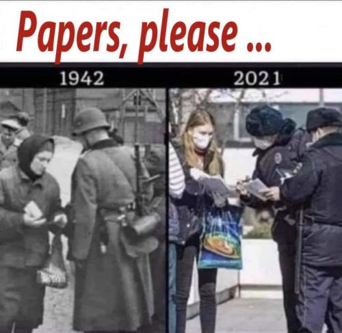 M papers