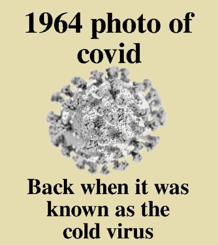 1964