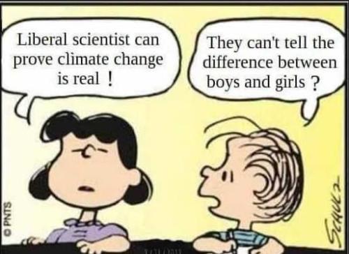 73CF7203-1DA8-4D63-BBE1-0F31F27CECB7