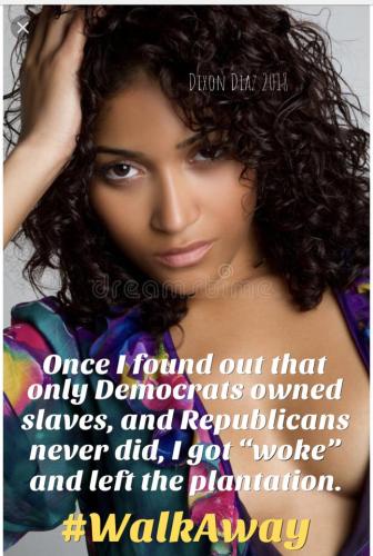 DemsVote3