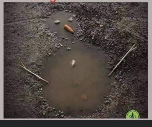 EBE4D041-FEE6-4B83-9A36-A891EC66FE87