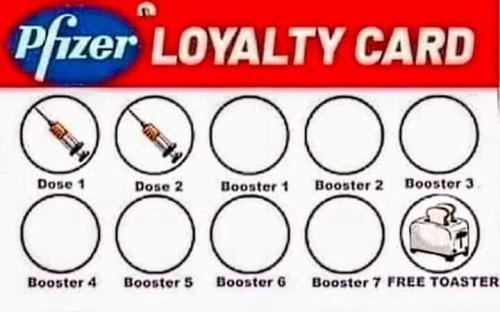 pfizer loyalty
