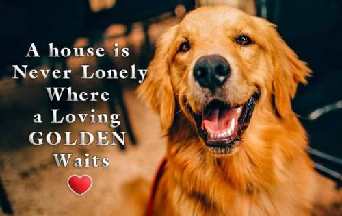 FB_IMG_1601381701979