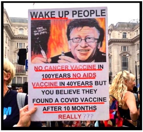 image_1638377030.011