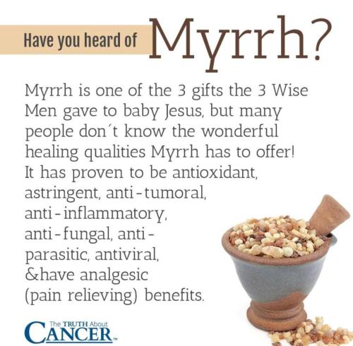 IMG_20211204_195849_180