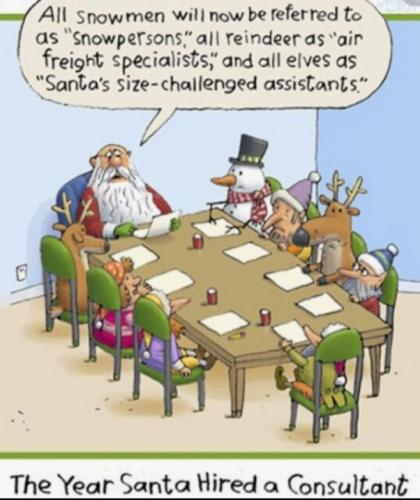 THE YEAR SANTA HIRED A CONSULTANT