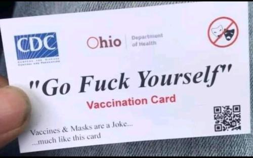 image_1637513643.223