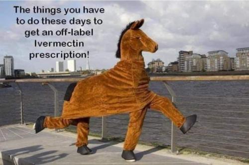 FB_IMG_1638759520460
