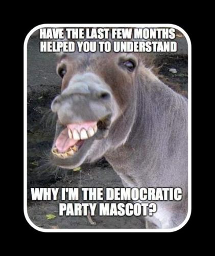 Donkey Dems