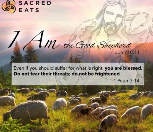 Screenshot_20211226-132217_Chrome