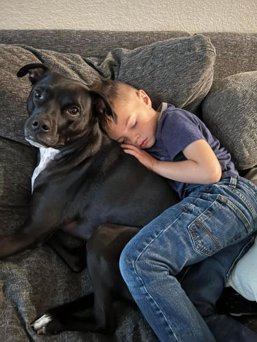 E529AEE0-648A-4F47-AA3E-517028CD1E5E