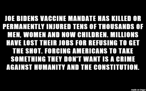 BidenCrimes73