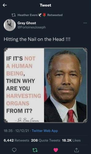 444660D6-BA1D-4CF8-93BA-F0003074B467