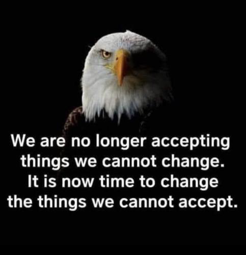 4DBC9449-A497-4A6C-BB22-5E45F29FF7AF