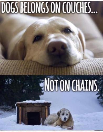 545A70F5-EE52-4B11-8A80-DDBB6EB11A1B