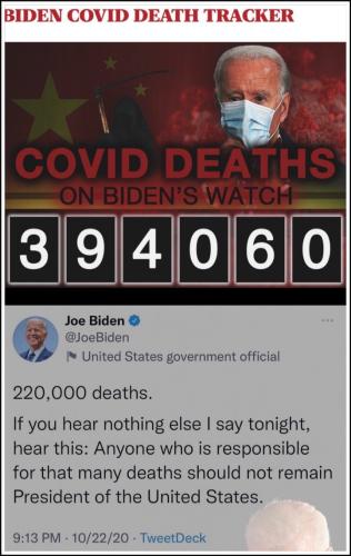 image_1639773286.831