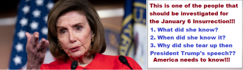 Investigate_Pelosi