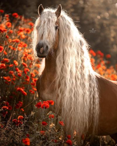 A5CF47DA-0C9D-4D4F-B48C-ADEFEA03D801